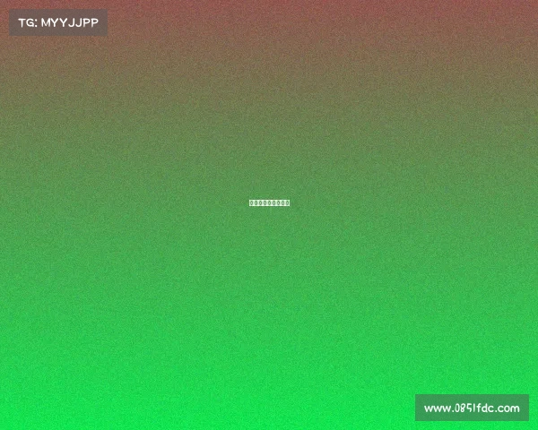 原型车赛事原型大赛