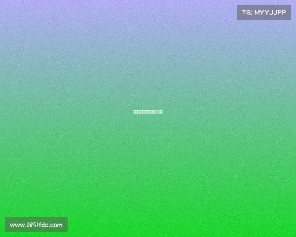 深圳体育赛事球迷深圳 体育